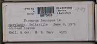 Image Associated With the Occurence